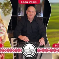 Seara cu Laza Vesici si formatia