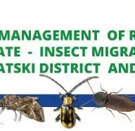 Sistemul integrat pentru supravegherea în timp real a migrației insectelor în aria transfrontalieră RO-RS este operaționalizat