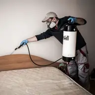 Scapa de insecte cu cele mai bune servicii de dezinsectie