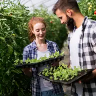 Boli si daunatori la rasadurile de legume - Identificare si combatere