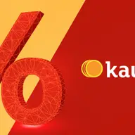 Kaufino: cataloage promoționale și reduceri în magazine