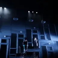 Rinocerii