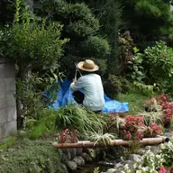 4 stiluri populare de amenajare a grădinii