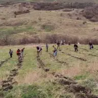 Plantăm fapte bune în România a crescut suprafața împădurită a țării in 2021