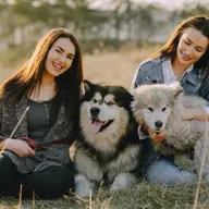 7 aplicatii pentru iubitorii de caini care au un animal de companie