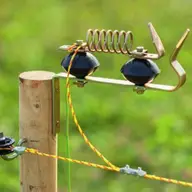Gard electric pentru câine: animalul de companie va fi mereu în siguranță