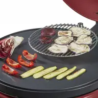 Timișoara gătește ecologic cu noul concept de grătar pe peleți!