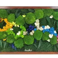Tablou Beauty decorat cu muschi plati, bombati si hortensii criogenate