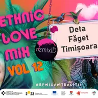 Ethnic Love Mix, vol. 12