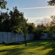 Întreținerea spațiilor verzi - necesitate sau moft?