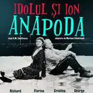 Idolul si Ion Anapoda