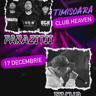 Concert Puya si Parazitii