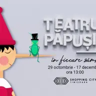 Teatru de papusi la Shopping City