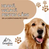 Hrană uscată pentru câini de cea mai bună calitate