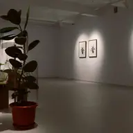 Meta Spatiu