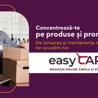 Comerțul electronic - soluție eficientă de dezvoltare a afacerilor