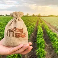 Tipuri de cheltuieli într-o fermă: când să apelezi la creditul agricol