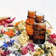 Biorezonanță magnetică și terapie cu plante în Timișoara