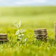 Sfaturi pentru alegerea celei mai potrivite instituții financiare pentru un credit agricol