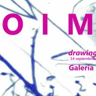 Vernisaj "Drawings Desene" - grupul noima 20 de ani