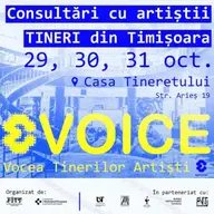 Consultari cu tinerii artisti din Timisoara