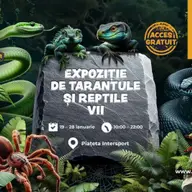 Expozitie de tarantule si reptile vii
