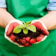 Remedii naturale pentru tratarea insomniei: descoperă cele mai eficiente metode