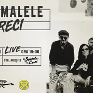 Concert Sarmalele Reci