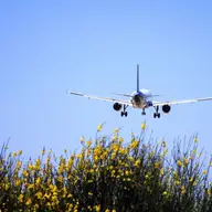 Sfaturi pentru călătorii cu avionul fără probleme