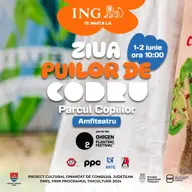 Ziua puilor de codru