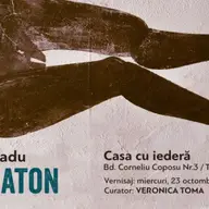 Automaton - Luminita Radu