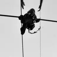 Festivalul Internațional de Funambulism Timișoara 2024