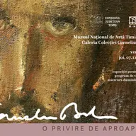 O privire de aproape - Corneliu Baba