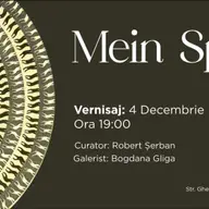 Expozitia Mein Spiel - Sorin Bijan