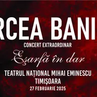 Concert Mircea Baniciu & Band
