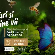 Expozitie de fluturi si albine vii