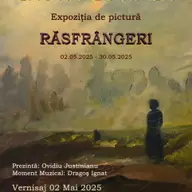 Expozitia Rasfrangeri - Laura Cornea