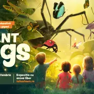 Expozitia Giant Bugs