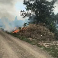Un bărbat fără adăpost, suspectat că a dat foc gunoaielor pe strada Taborului, a fost internat la Psihiatrie