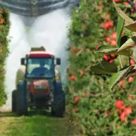 Gestionarea integrată a dăunătorilor: sinergia dintre produsele de protecție a plantelor și strategiile agronomice