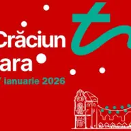 Targul de Craciun in Piata Victoriei
