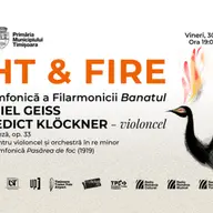 Light & Fire