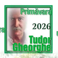 Concert Tudor Gheorghe