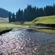 Muzica Apusenilor