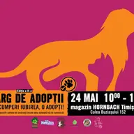 Targ de Adoptii