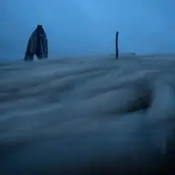 Ultima transhumanță