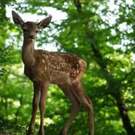 Bambi: O poveste din pădure