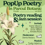 PopUp Poetry si Flash Fiction 30