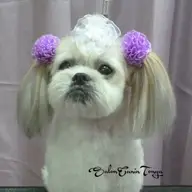 Tonya