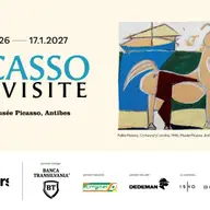 Expozitia Picasso en visite